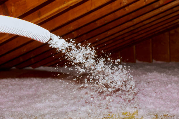Best Residential Insulation in Rogers, AR