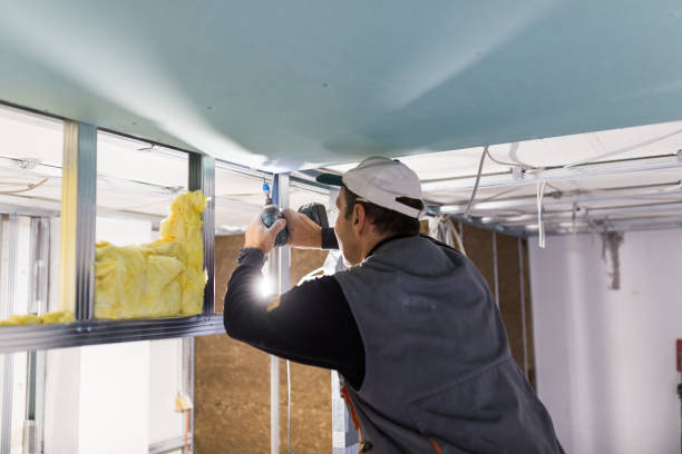 Best Blown-in Insulation in Rogers, AR