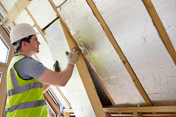 Best Geographic-Specific Insulation Services in Rogers, AR