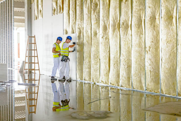 Types of Insulation We Offer in Rogers, AR